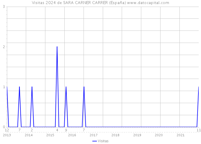 Visitas 2024 de SARA CARNER CARRER (España) 