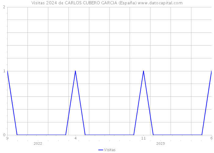 Visitas 2024 de CARLOS CUBERO GARCIA (España) 