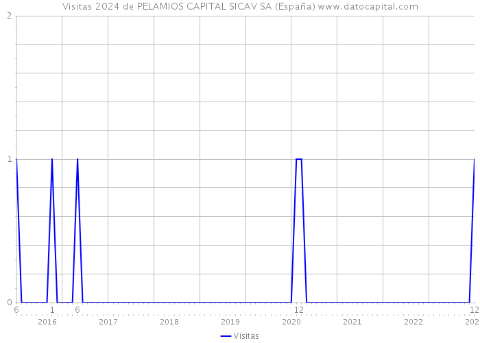 Visitas 2024 de PELAMIOS CAPITAL SICAV SA (España) 