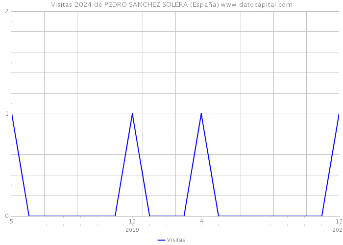 Visitas 2024 de PEDRO SANCHEZ SOLERA (España) 