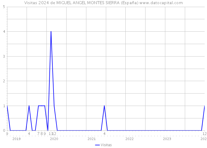 Visitas 2024 de MIGUEL ANGEL MONTES SIERRA (España) 