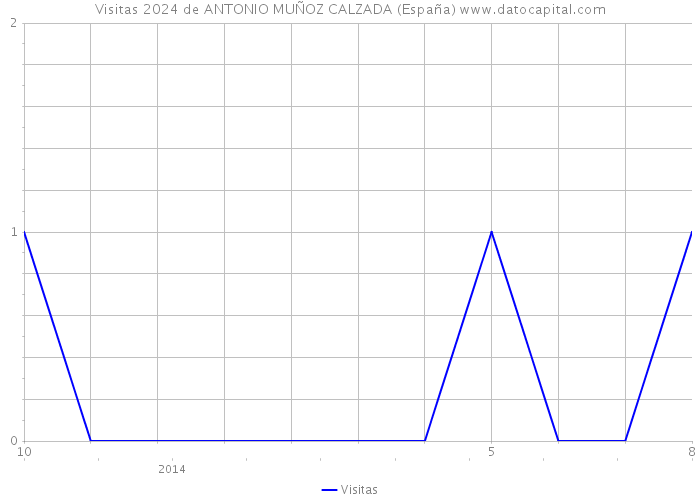 Visitas 2024 de ANTONIO MUÑOZ CALZADA (España) 