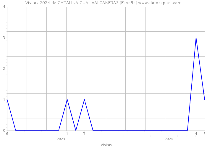 Visitas 2024 de CATALINA GUAL VALCANERAS (España) 