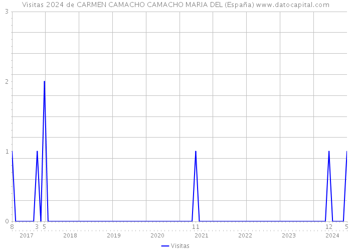 Visitas 2024 de CARMEN CAMACHO CAMACHO MARIA DEL (España) 