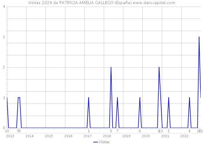 Visitas 2024 de PATRICIA AMELIA GALLEGO (España) 