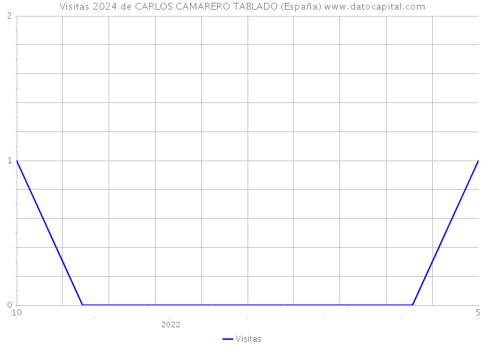 Visitas 2024 de CARLOS CAMARERO TABLADO (España) 