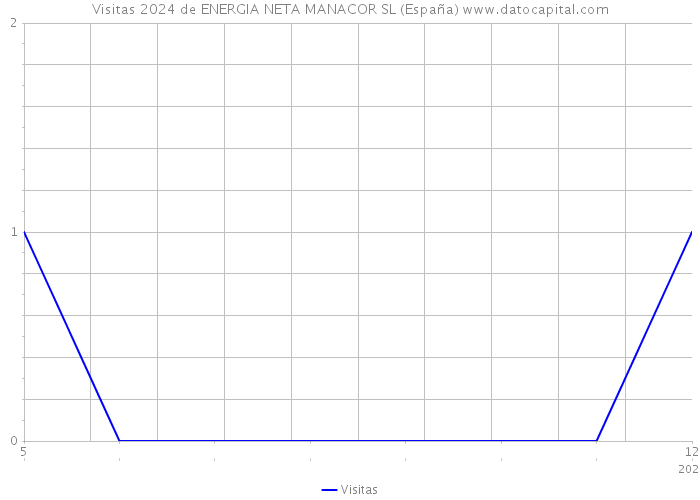 Visitas 2024 de ENERGIA NETA MANACOR SL (España) 