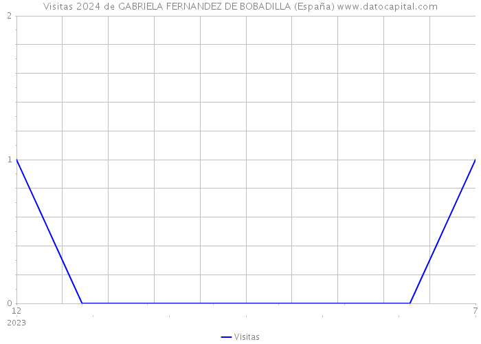 Visitas 2024 de GABRIELA FERNANDEZ DE BOBADILLA (España) 