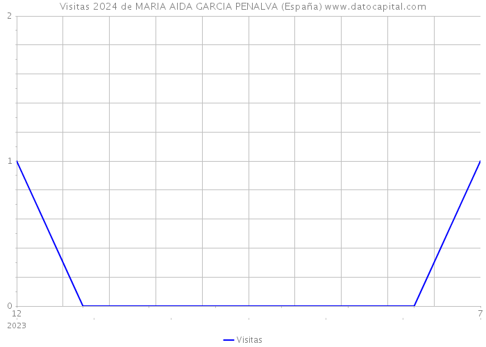 Visitas 2024 de MARIA AIDA GARCIA PENALVA (España) 