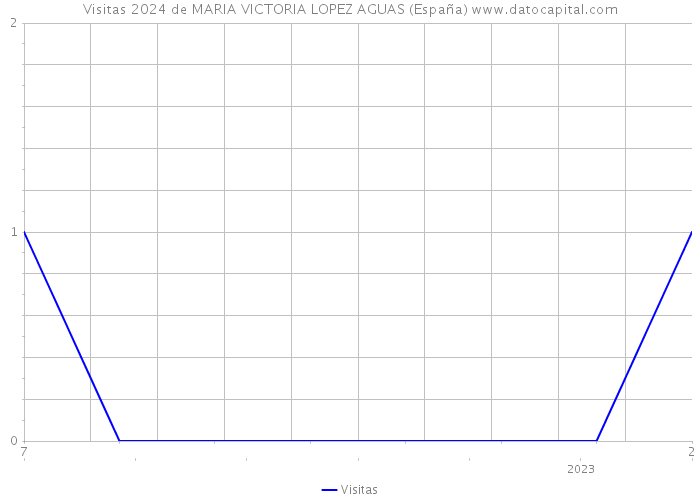 Visitas 2024 de MARIA VICTORIA LOPEZ AGUAS (España) 