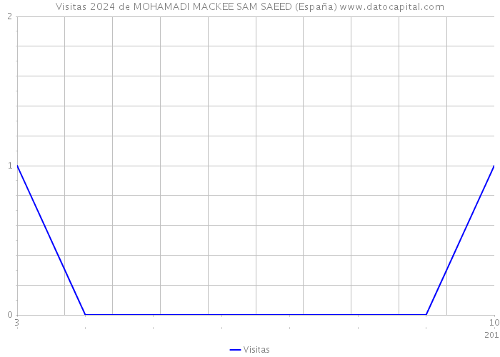 Visitas 2024 de MOHAMADI MACKEE SAM SAEED (España) 