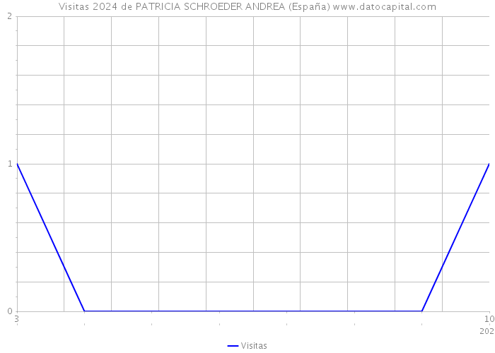 Visitas 2024 de PATRICIA SCHROEDER ANDREA (España) 