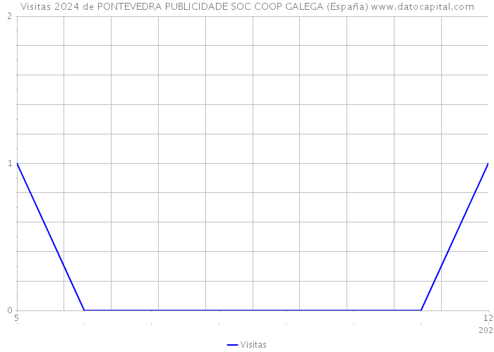 Visitas 2024 de PONTEVEDRA PUBLICIDADE SOC COOP GALEGA (España) 