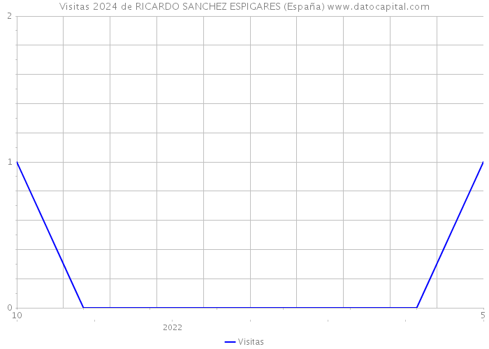 Visitas 2024 de RICARDO SANCHEZ ESPIGARES (España) 
