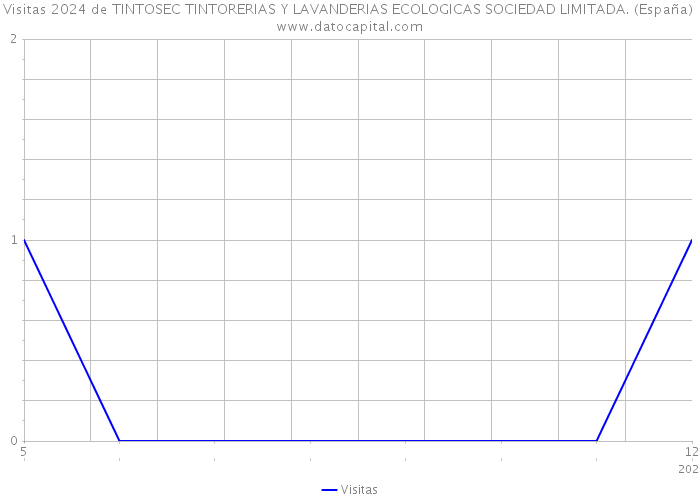 Visitas 2024 de TINTOSEC TINTORERIAS Y LAVANDERIAS ECOLOGICAS SOCIEDAD LIMITADA. (España) 