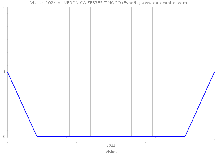 Visitas 2024 de VERONICA FEBRES TINOCO (España) 
