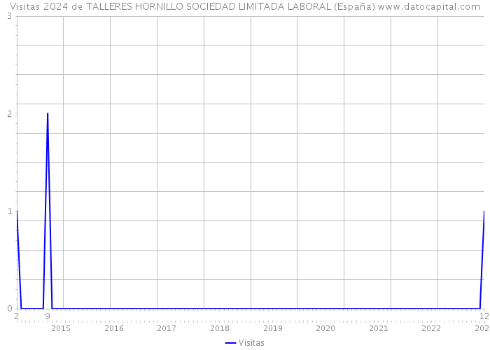 Visitas 2024 de TALLERES HORNILLO SOCIEDAD LIMITADA LABORAL (España) 