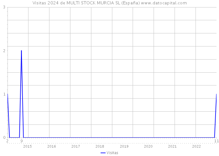 Visitas 2024 de MULTI STOCK MURCIA SL (España) 