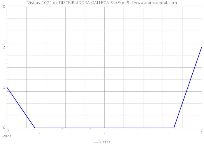 Visitas 2024 de DISTRIBUIDORA GALLEGA SL (España) 