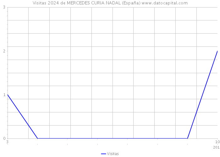 Visitas 2024 de MERCEDES CURIA NADAL (España) 