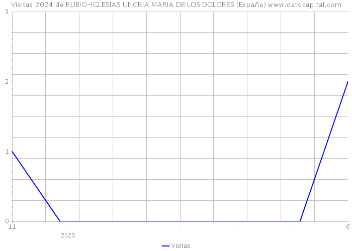 Visitas 2024 de RUBIO-IGLESIAS UNGRIA MARIA DE LOS DOLORES (España) 