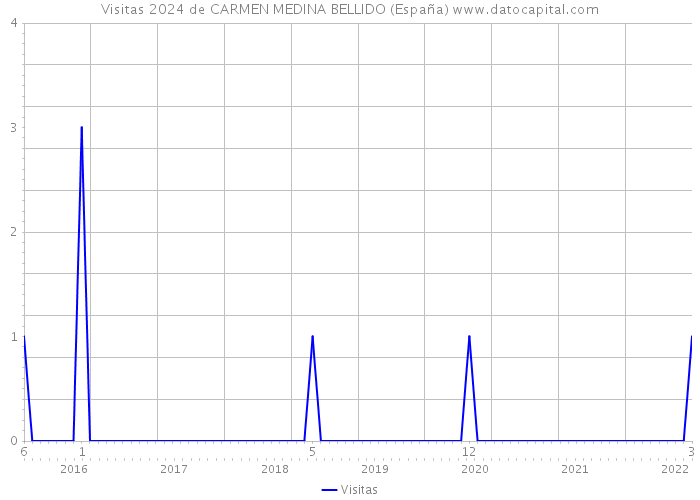 Visitas 2024 de CARMEN MEDINA BELLIDO (España) 