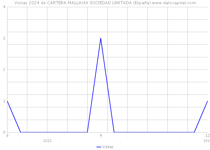 Visitas 2024 de CARTERA MALLAVIA SOCIEDAD LIMITADA (España) 