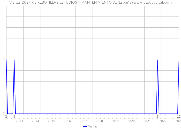 Visitas 2024 de REBOTILLAS ESTUDIOS Y MANTENIMIENTO SL (España) 