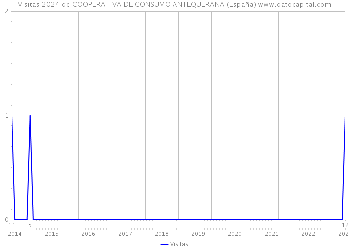 Visitas 2024 de COOPERATIVA DE CONSUMO ANTEQUERANA (España) 