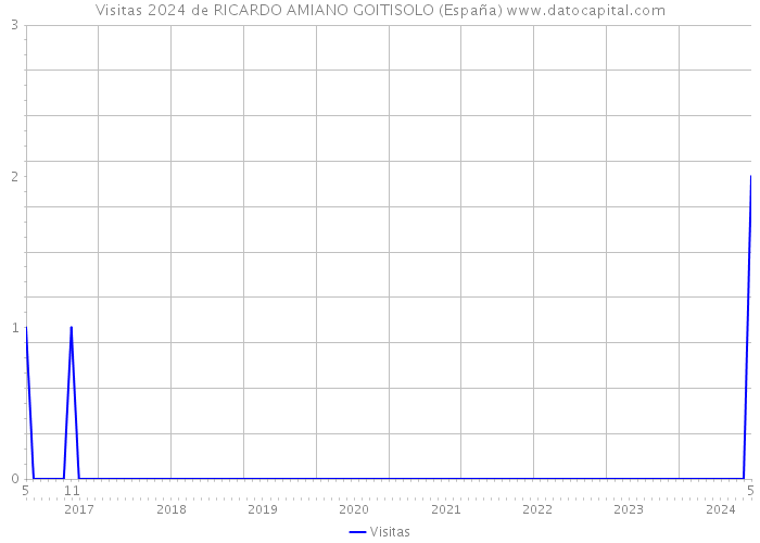 Visitas 2024 de RICARDO AMIANO GOITISOLO (España) 