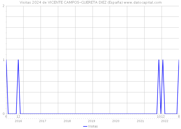 Visitas 2024 de VICENTE CAMPOS-GUERETA DIEZ (España) 