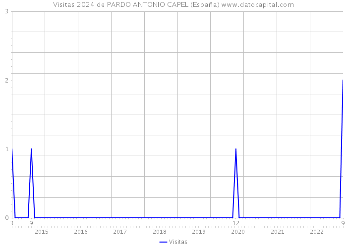 Visitas 2024 de PARDO ANTONIO CAPEL (España) 