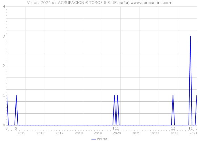 Visitas 2024 de AGRUPACION 6 TOROS 6 SL (España) 