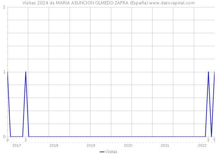 Visitas 2024 de MARIA ASUNCION OLMEDO ZAFRA (España) 
