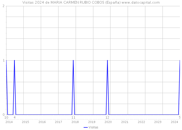 Visitas 2024 de MARIA CARMEN RUBIO COBOS (España) 
