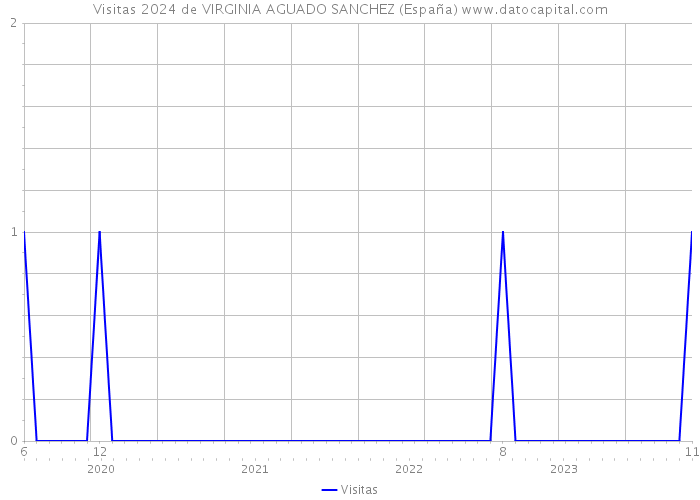 Visitas 2024 de VIRGINIA AGUADO SANCHEZ (España) 