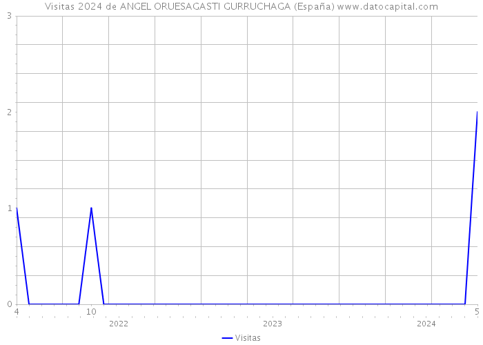 Visitas 2024 de ANGEL ORUESAGASTI GURRUCHAGA (España) 