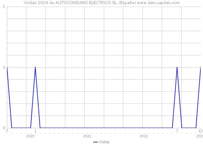 Visitas 2024 de AUTOCONSUMO ELECTRICO SL. (España) 