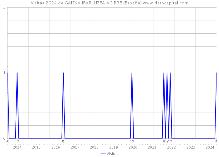 Visitas 2024 de GAIZKA IBARLUZEA AGIRRE (España) 