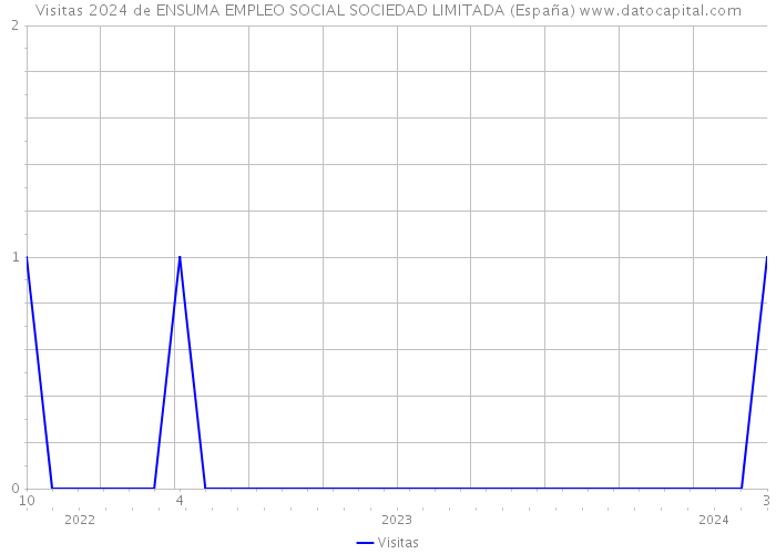 Visitas 2024 de ENSUMA EMPLEO SOCIAL SOCIEDAD LIMITADA (España) 