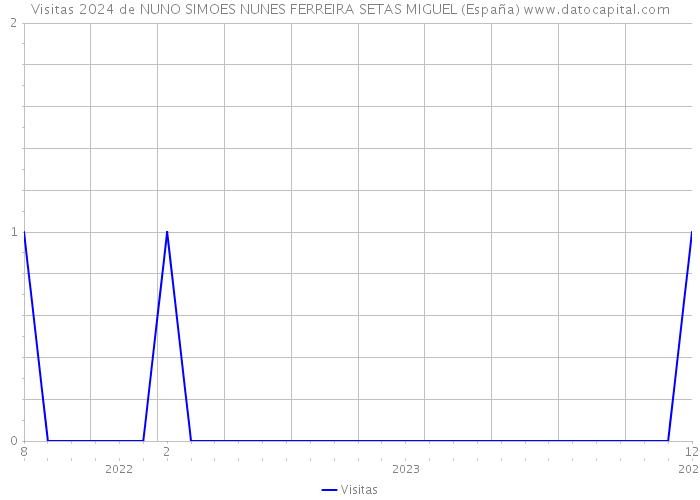 Visitas 2024 de NUNO SIMOES NUNES FERREIRA SETAS MIGUEL (España) 