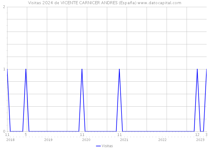Visitas 2024 de VICENTE CARNICER ANDRES (España) 