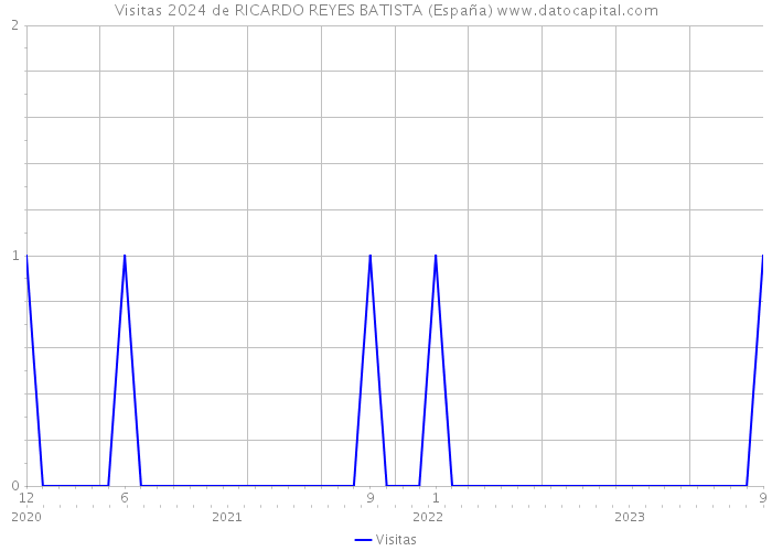 Visitas 2024 de RICARDO REYES BATISTA (España) 