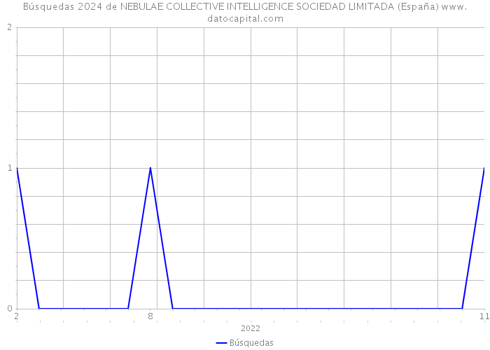 Búsquedas 2024 de NEBULAE COLLECTIVE INTELLIGENCE SOCIEDAD LIMITADA (España) 