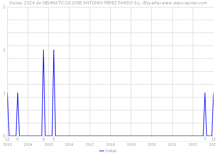 Visitas 2024 de NEUMATICOS JOSE ANTONIO PEREZ PARDO S.L. (España) 