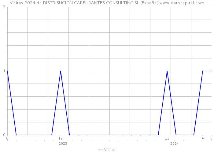 Visitas 2024 de DISTRIBUCION CARBURANTES CONSULTING SL (España) 