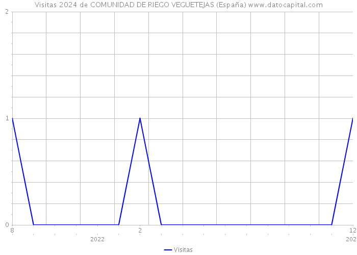 Visitas 2024 de COMUNIDAD DE RIEGO VEGUETEJAS (España) 