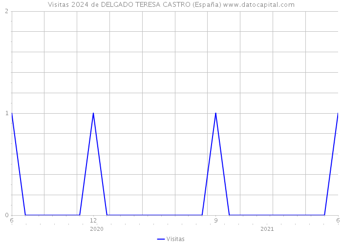 Visitas 2024 de DELGADO TERESA CASTRO (España) 