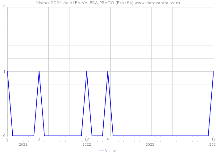 Visitas 2024 de ALBA VALERA PRADO (España) 