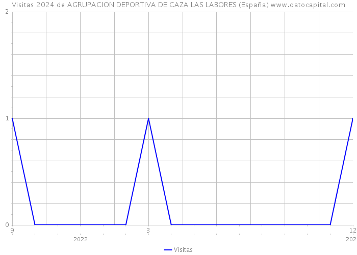 Visitas 2024 de AGRUPACION DEPORTIVA DE CAZA LAS LABORES (España) 